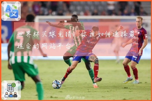 世界杯买球竞猜，你该如何选择最适合的网站平台
