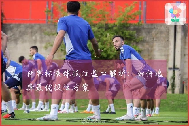 世界杯滚球投注盘口解析：如何选择最优投注方案